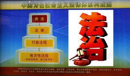 憲法保障制度 憲法保障制度