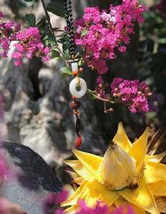 我曾是佛前的一株金蓮 我曾是佛前的一株金蓮