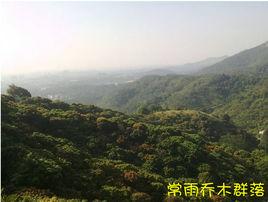 常雨喬木群落 常雨喬木群落