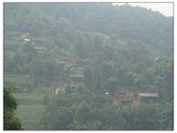 老箐頭自然村 老箐頭自然村