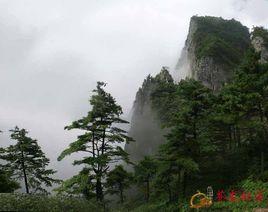 蒼龍社區 蒼龍社區