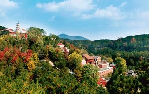 潛山縣乾元禪寺 潛山縣乾元禪寺