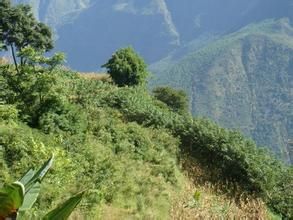 岩仙腳村 岩仙腳村