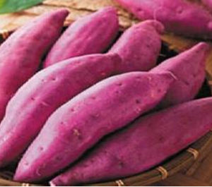 紫番薯