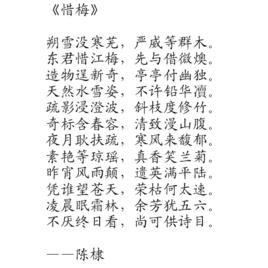 惜梅 惜梅