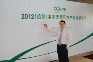 張文軍[實業家]