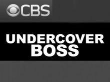臥底老闆[美國電視劇]