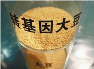 轉基因生物 轉基因生物