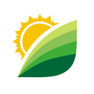 武漢新澳阿里 武漢新澳阿里