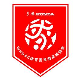 東風本田汽車武漢足球俱樂部 東風本田汽車武漢足球俱樂部
