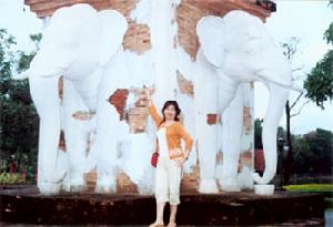 古象王國里的古象建築