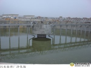 洋水務進軍國內市場