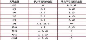 父母血型與子女血型關係圖解