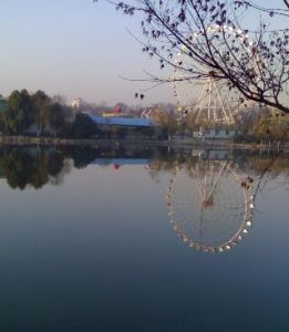 杏花公園 杏花公園