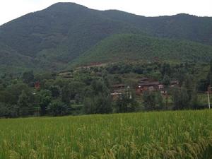 魯嘎哩村 魯嘎哩村