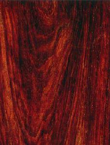 交趾黃檀 交趾黃檀