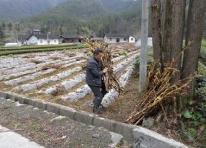 五里木站 五里木站
