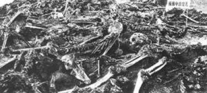 平頂山血案 平頂山血案