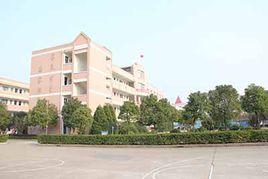 掌起中學 掌起中學