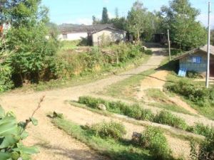 南嶺自然村 南嶺自然村