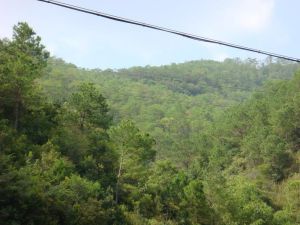 上菜園自然村 上菜園自然村