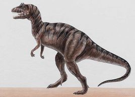 雙冠龍屬 雙冠龍屬