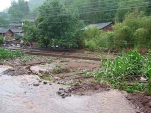 新店子村 新店子村