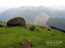 靈山鎮[河南羅山縣轄鎮]