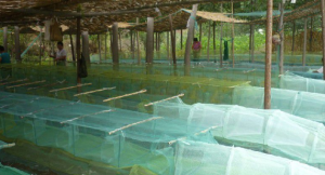 圖河鎮南港漁具廠