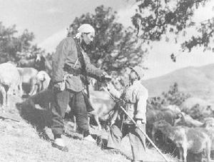 《雞毛信》劇照