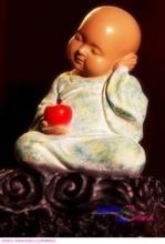 三因佛性 三因佛性