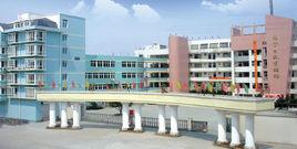 龍港第三高級中學 龍港第三高級中學