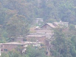 小河溝自然村[雲南省昭通鎮雄縣五德鎮大營村小河溝自然村]