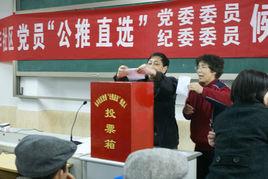 公推直選 公推直選