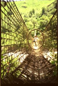 德興藤網橋 德興藤網橋