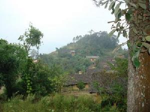 邱家坪一自然村