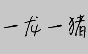 一龍一豬