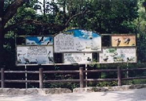 中國動物園協會 中國動物園協會