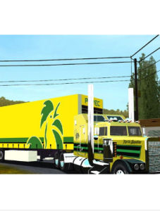 瘋狂大卡車 瘋狂大卡車