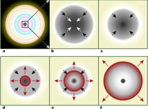 一顆大質量恆星在核心的演化 (a)元素以像洋蔥狀的殼層進行核融合，直到形成鐵核 (b) 質量達到錢德拉塞卡極限，核心開始塌縮。核心的內部被壓縮形成中子(c)，造成掉落的物質反彈(d) 和形成像外傳播的衝激波（紅色）。震波開始隔絕(e)，但是它經由中微子的互動作用恢復生氣。周圍的物質被摧毀並離開(f)，僅留下簡併後的殘骸。