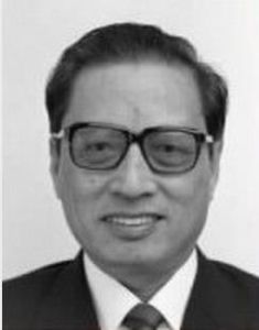 第八屆全國人民代表大會常務委員會 第八屆全國人民代表大會常務委員會