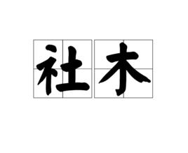 社木 社木