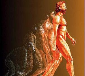 （圖）基因變異