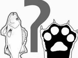 魚與熊掌不可兼得