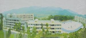 花叢中學 花叢中學