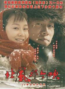 北風那個吹[2009年安建執導電視劇]