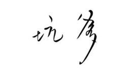 坑爹[網路流行語]