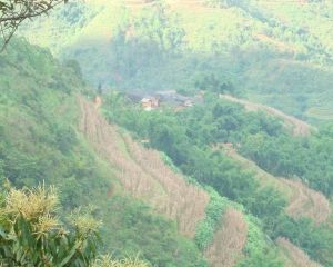 老寨子自然村 老寨子自然村