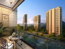 新湖果嶺 新湖果嶺