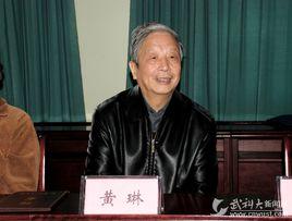 黃琳[中科院院士、控制科學專家]